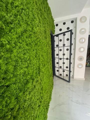 Suite 43 泰拉西尼 外观 照片
